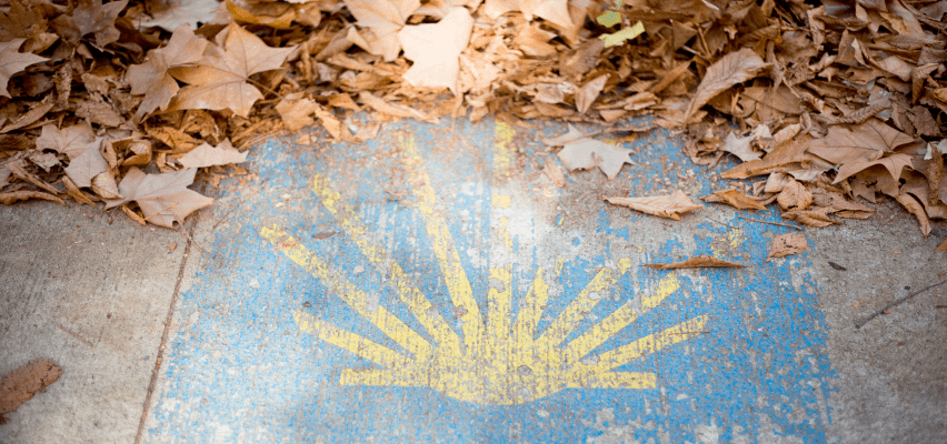 camino_santiago_concha