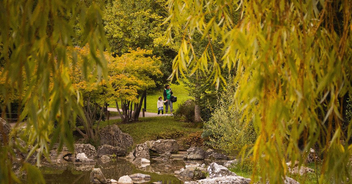 Arte contemporáneo en Pamplona