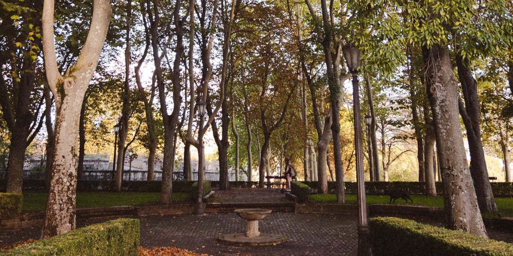 Naturaleza_3U4A8996_H_MEDIA