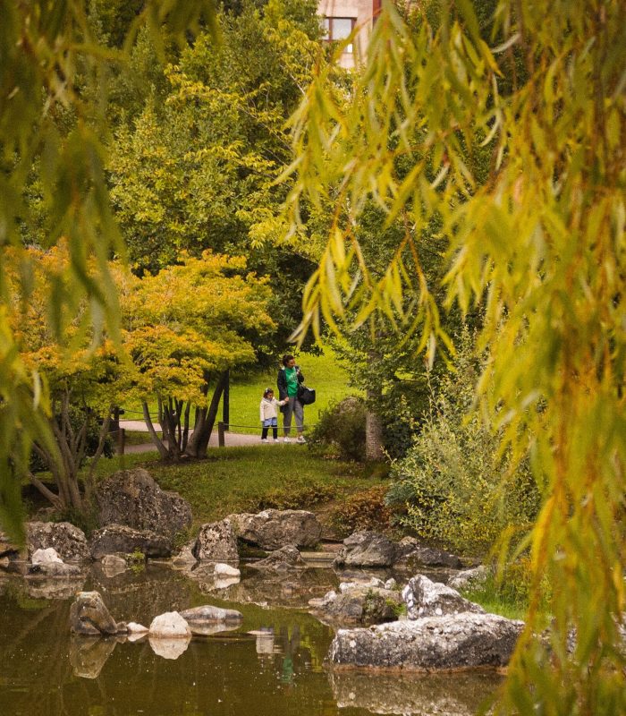 Naturaleza_yamaguchi_Pamplona_parque