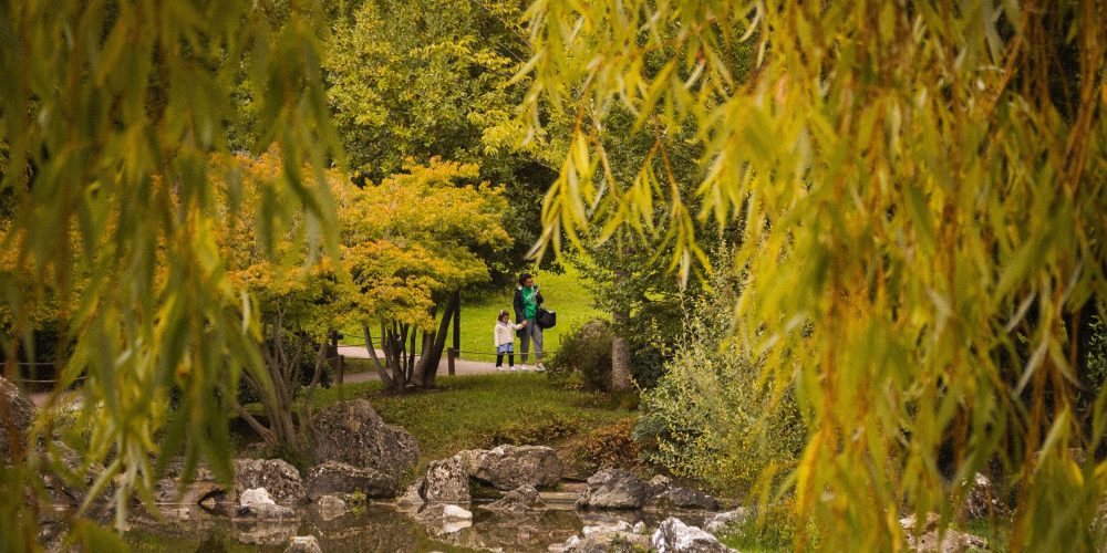 Naturaleza_yamaguchi_Pamplona_parque