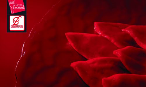 PIQUILLO 2