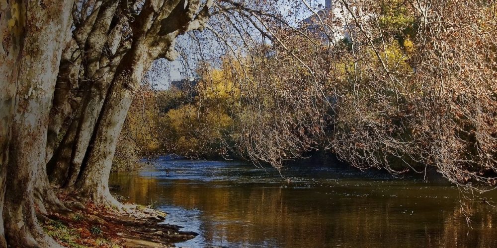 Parque Fluvial del Arga