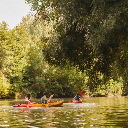 Personas practicando Kayak en el Arga (1)