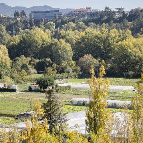 parque-fluvial-del-Arga